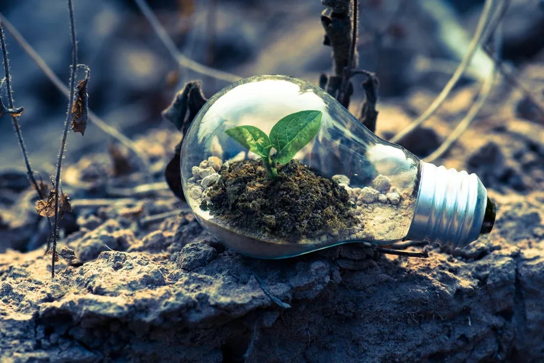 Zdjęcie przedstawiające zieloną energię